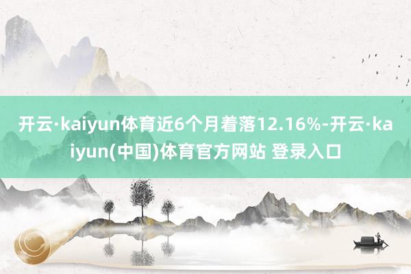 开云·kaiyun体育近6个月着落12.16%-开云·kaiyun(中国)体育官方网站 登录入口